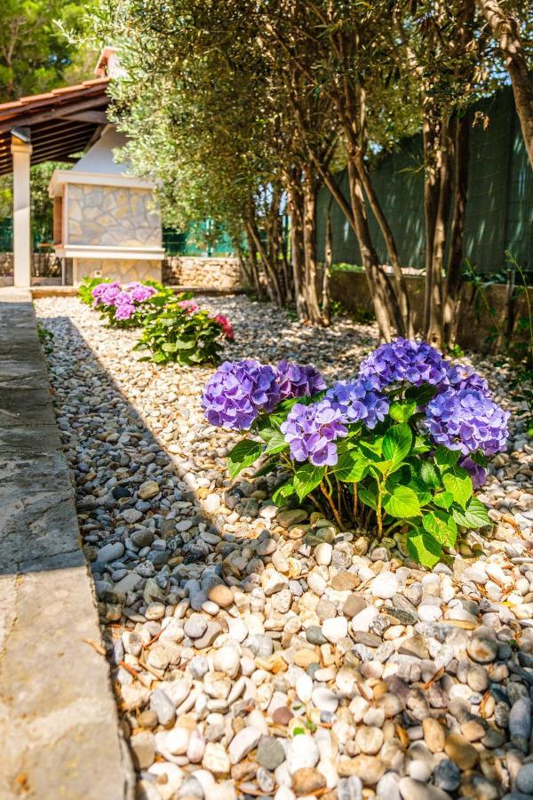 Anda - Kuca Za Odmor Villa Milna  Exterior foto